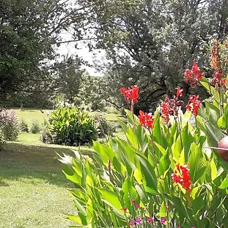 Relais De La Renaissance Nocleg ze śniadaniem
